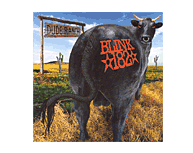 Dude Ranch