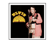 Elvis at Sun Record Company (2004)