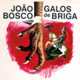 Galos De Briga (1976)